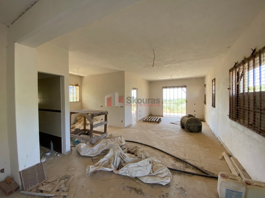 Gallery image 8