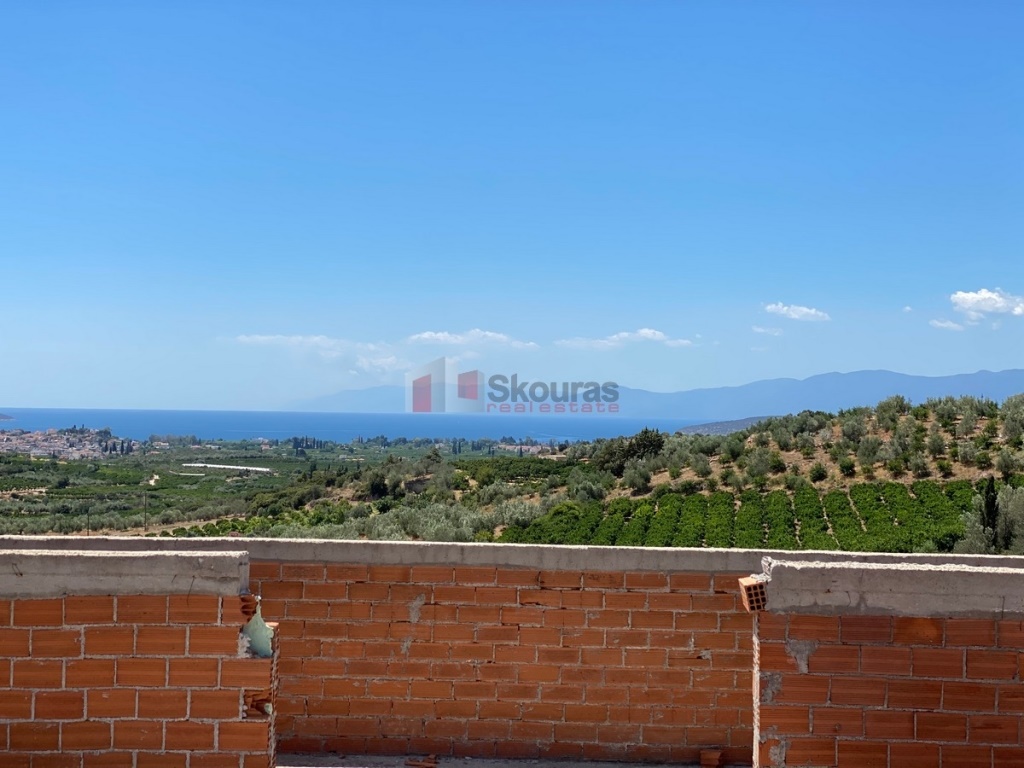 Gallery image 17