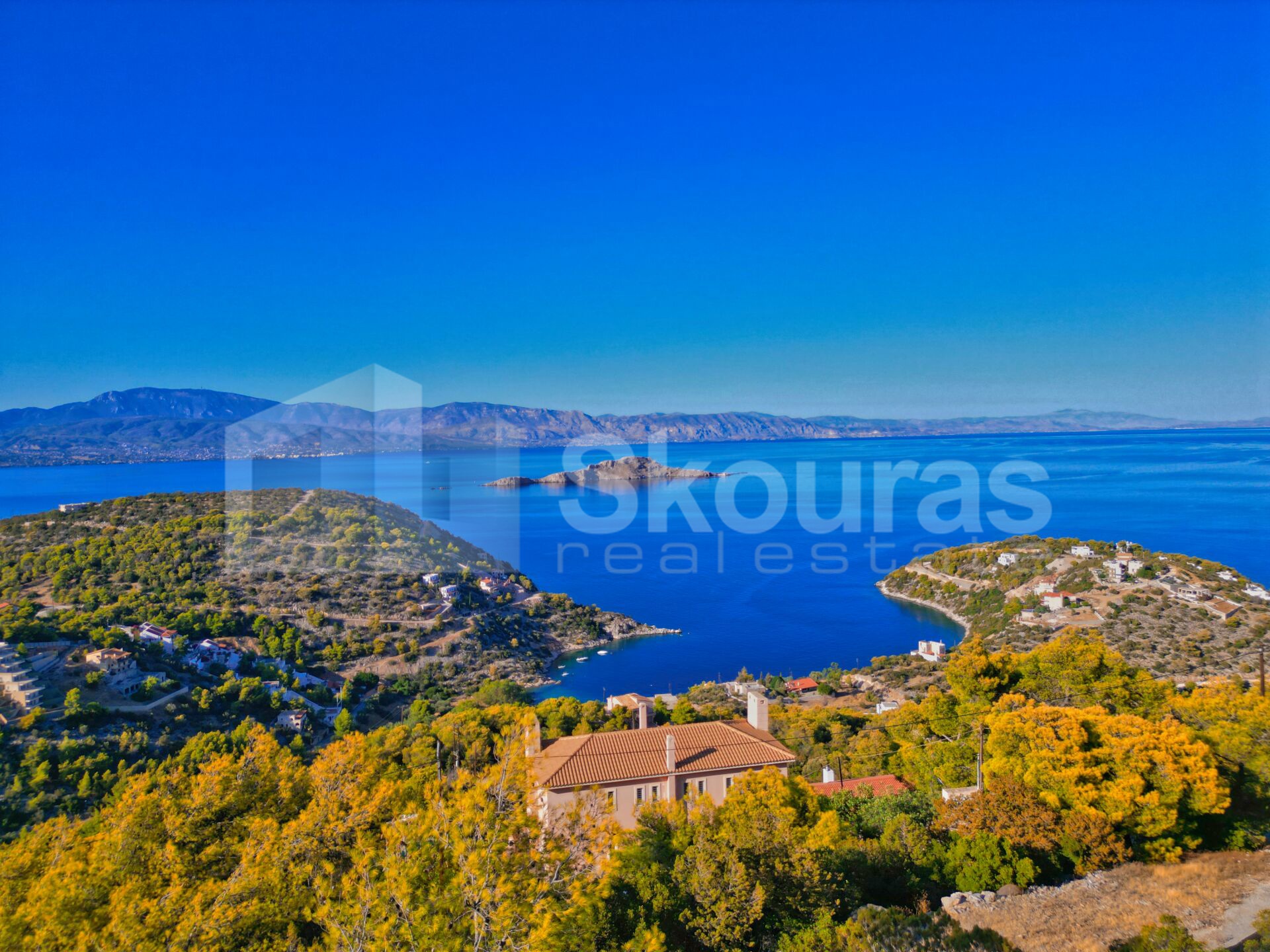 Gallery image 10