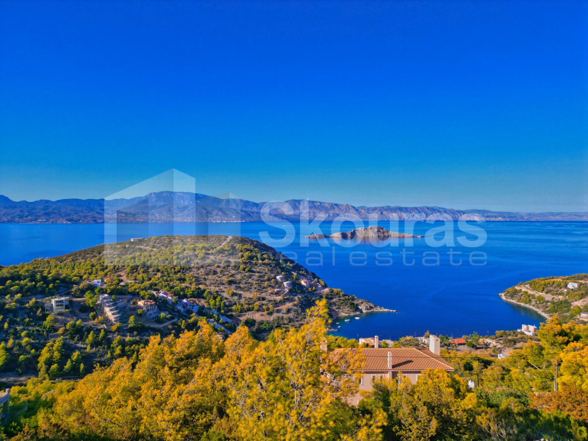 Gallery image 12