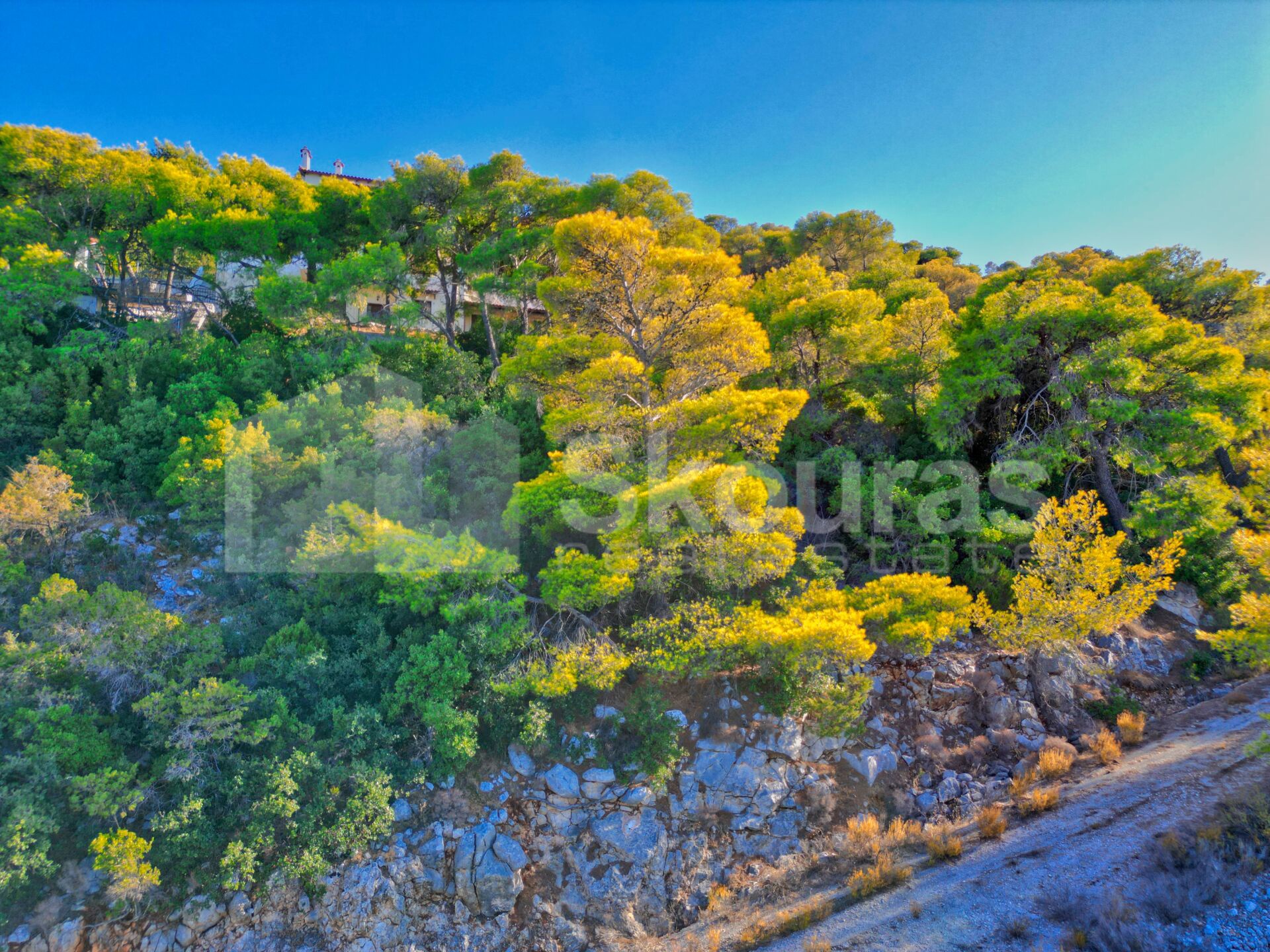 Gallery image 15