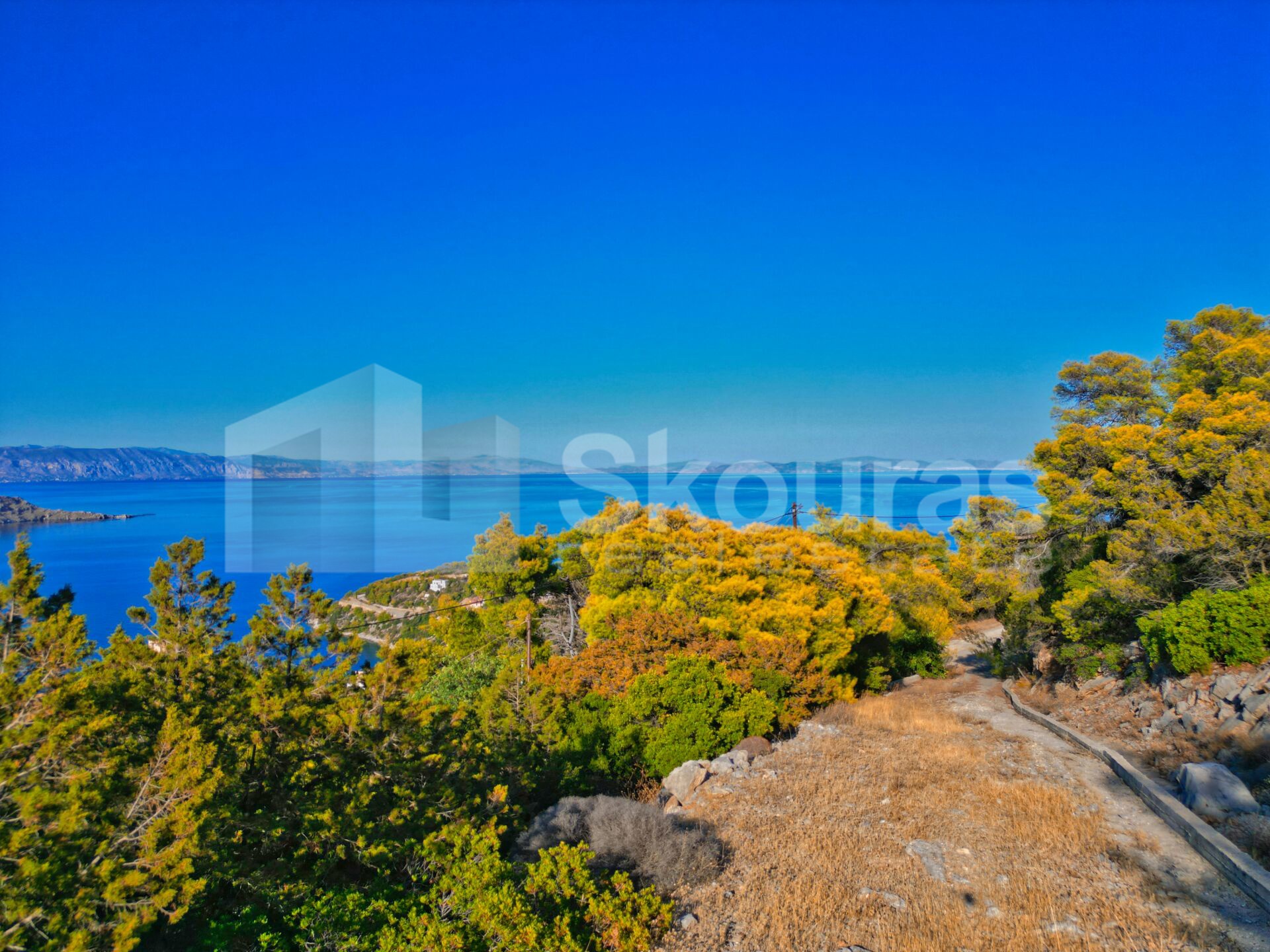 Gallery image 16