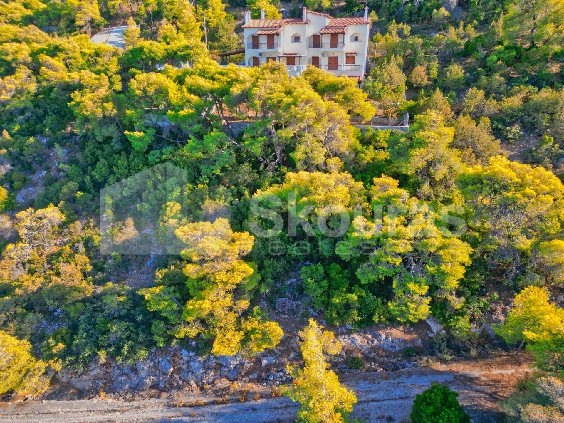 Gallery image 14