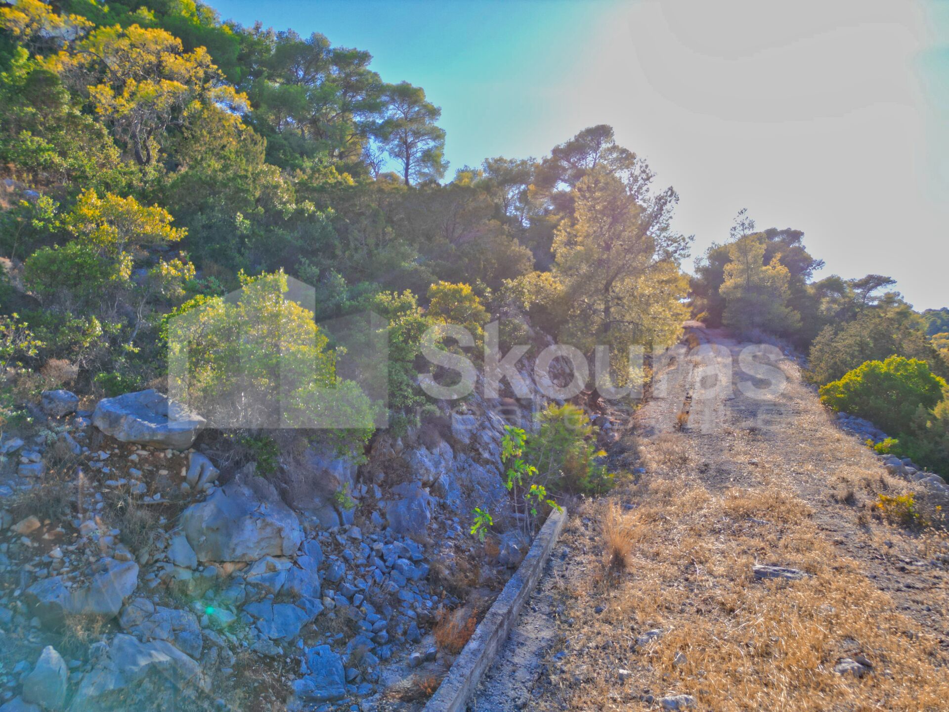 Gallery image 7