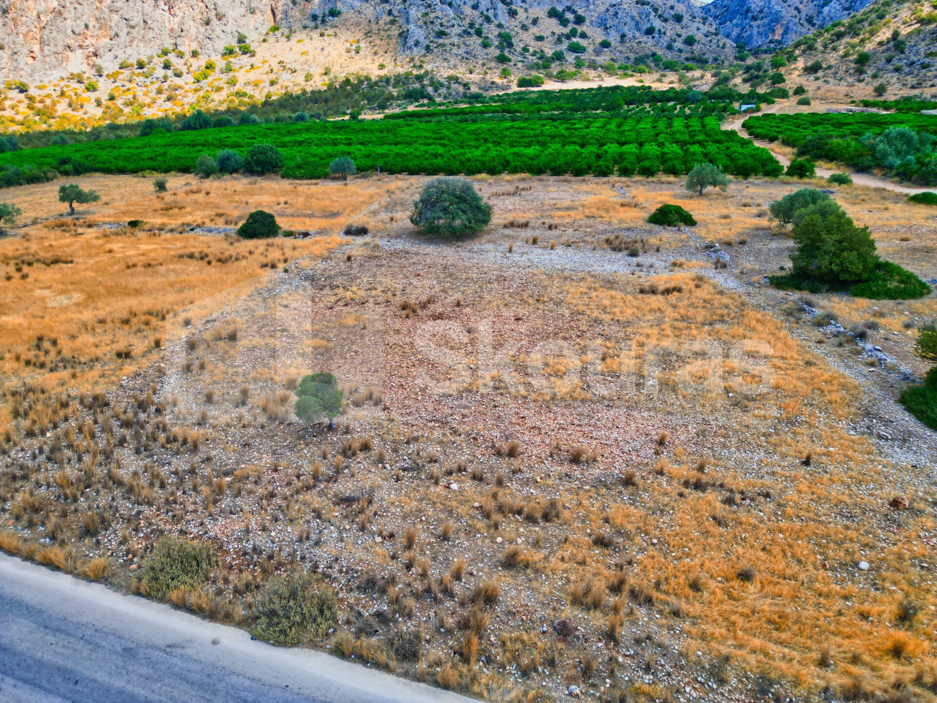 Gallery image 10