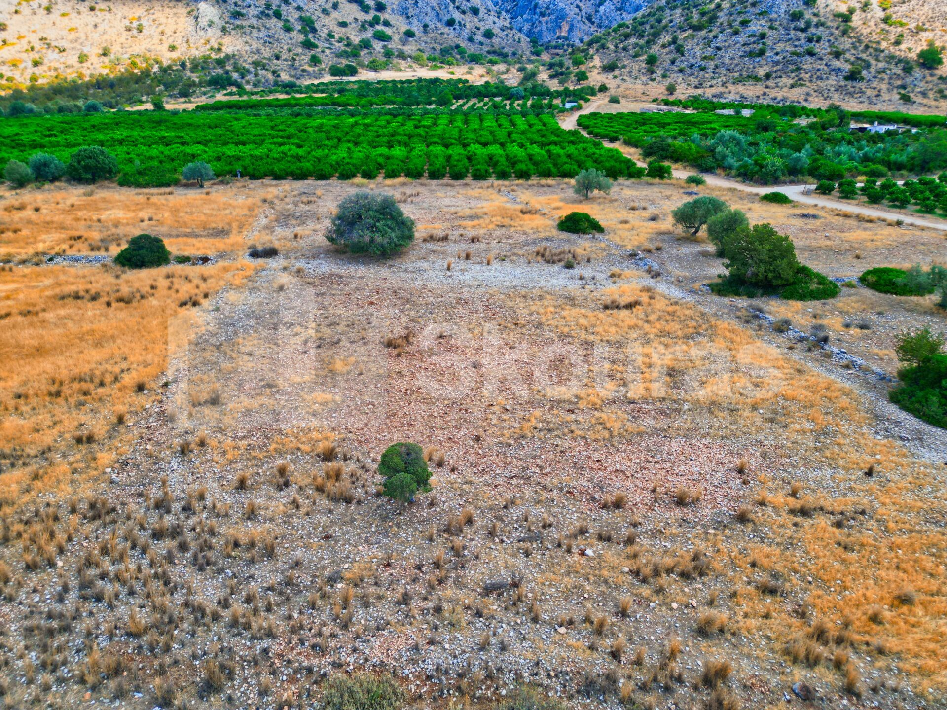 Gallery image 11