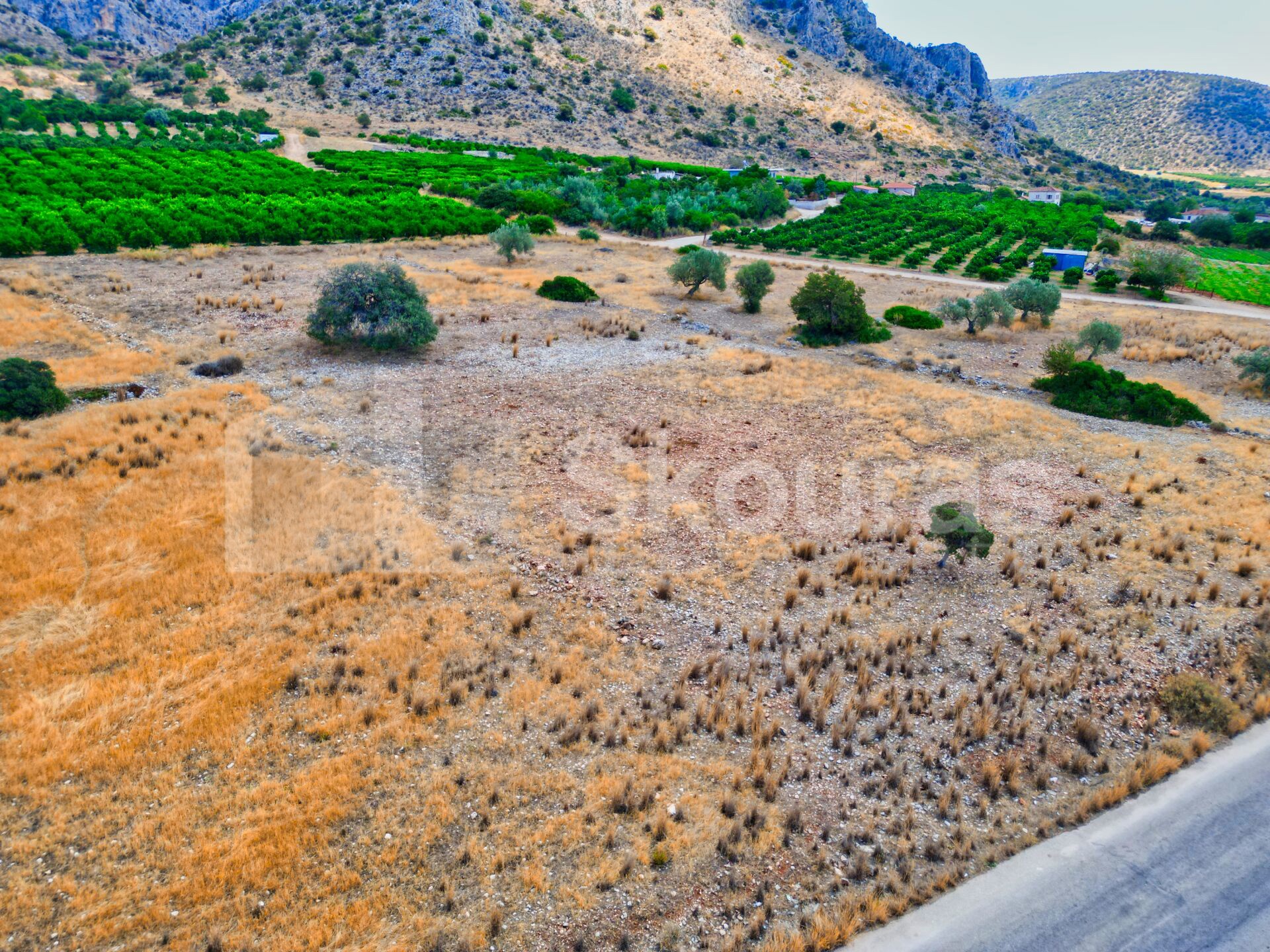 Gallery image 12