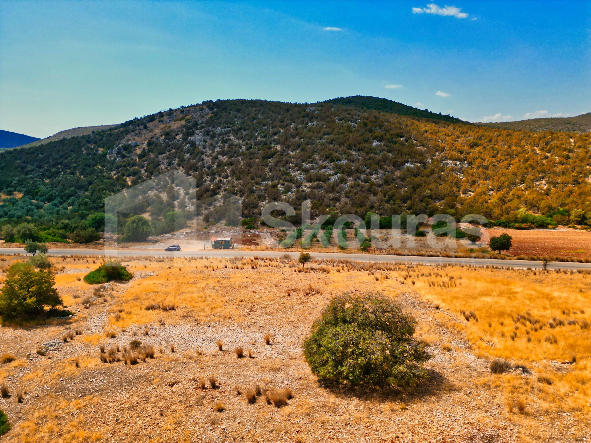 Gallery image 21