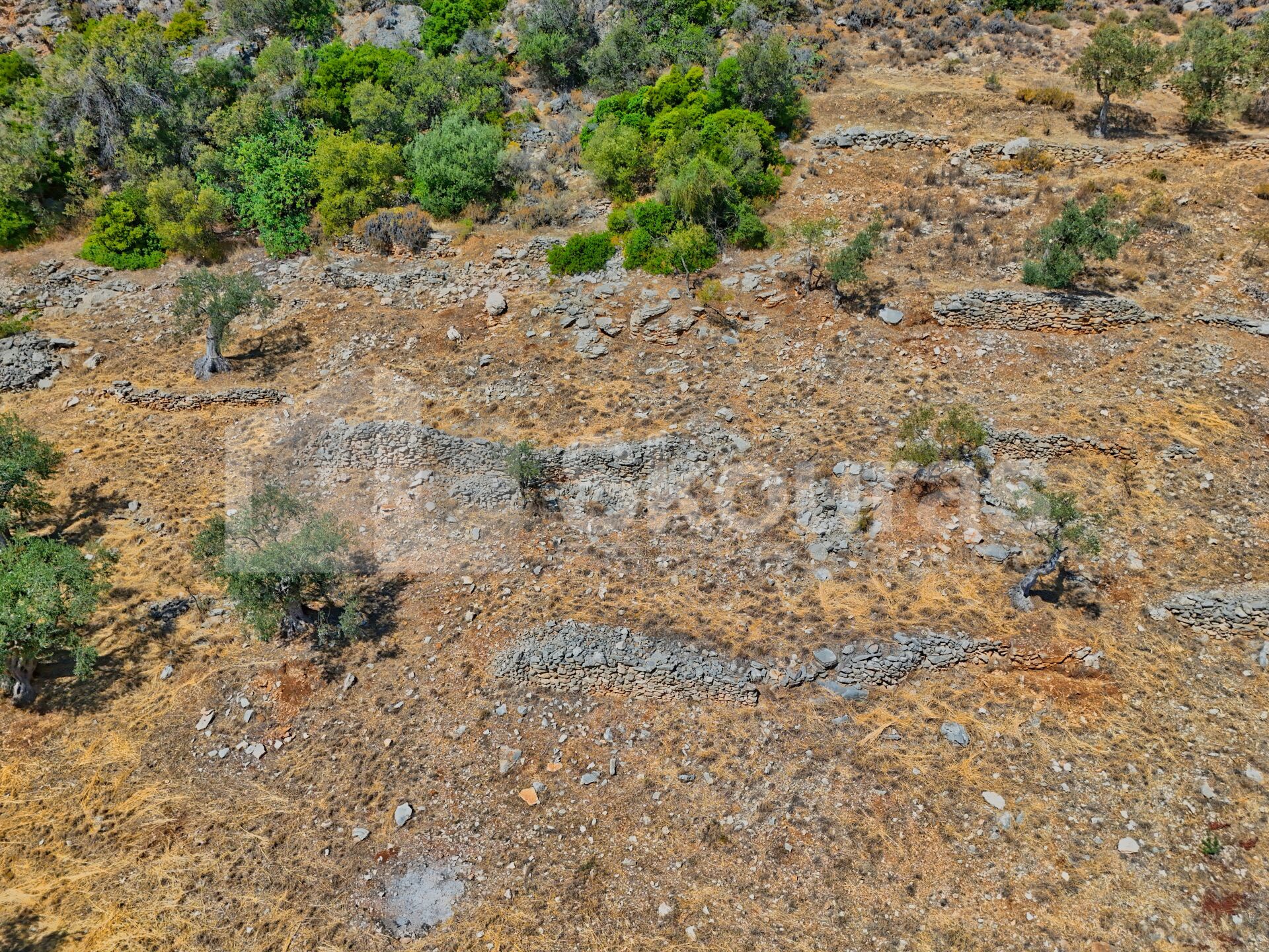 Gallery image 12