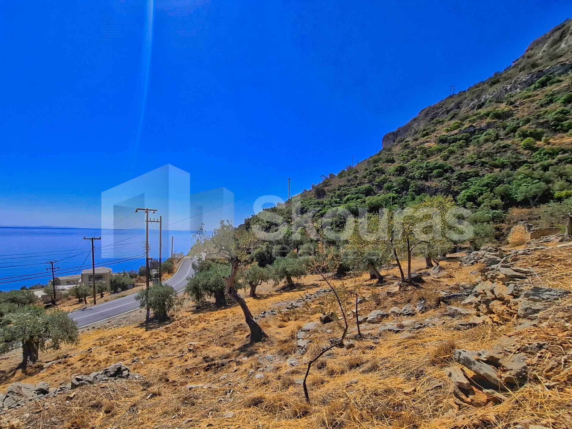 Gallery image 10
