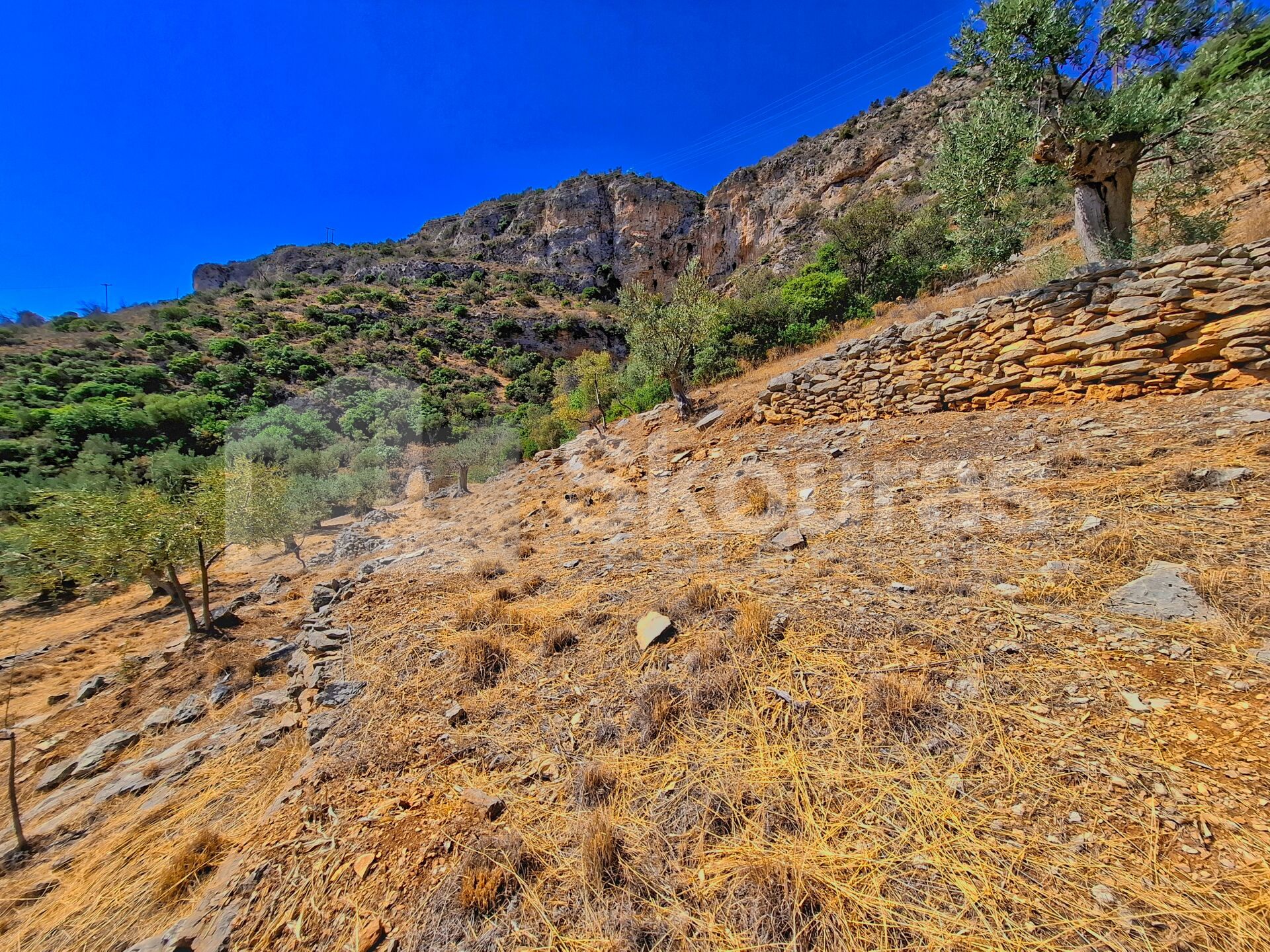 Gallery image 11