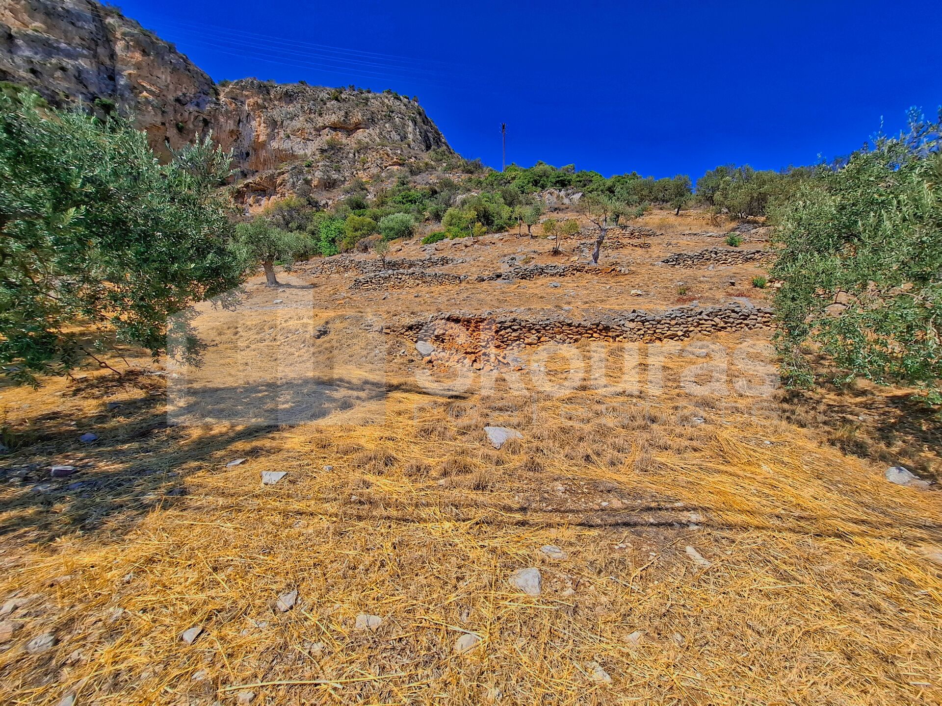 Gallery image 21