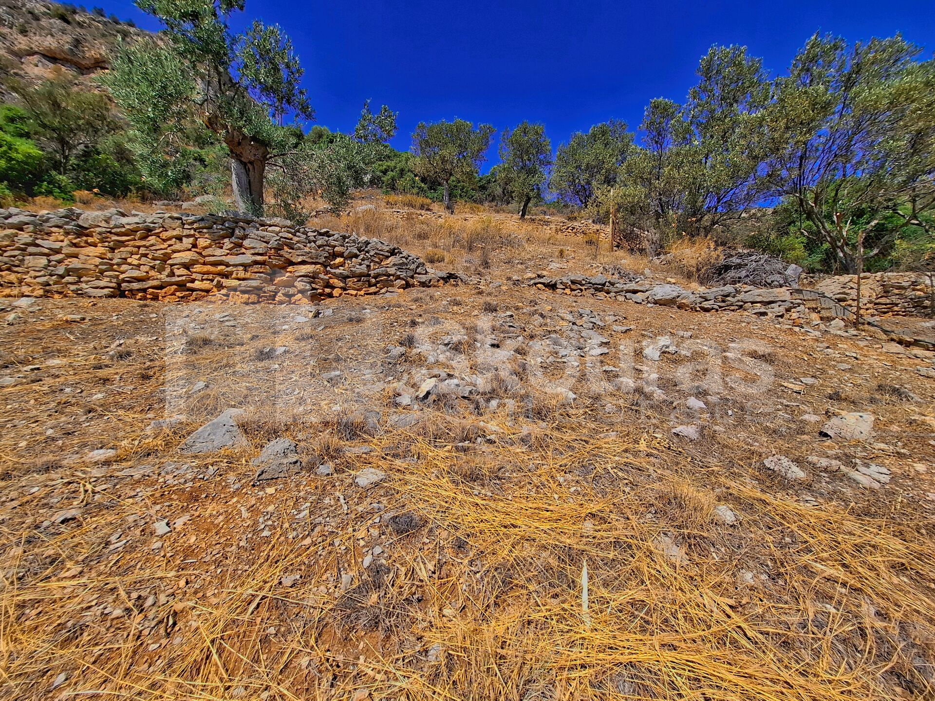 Gallery image 8