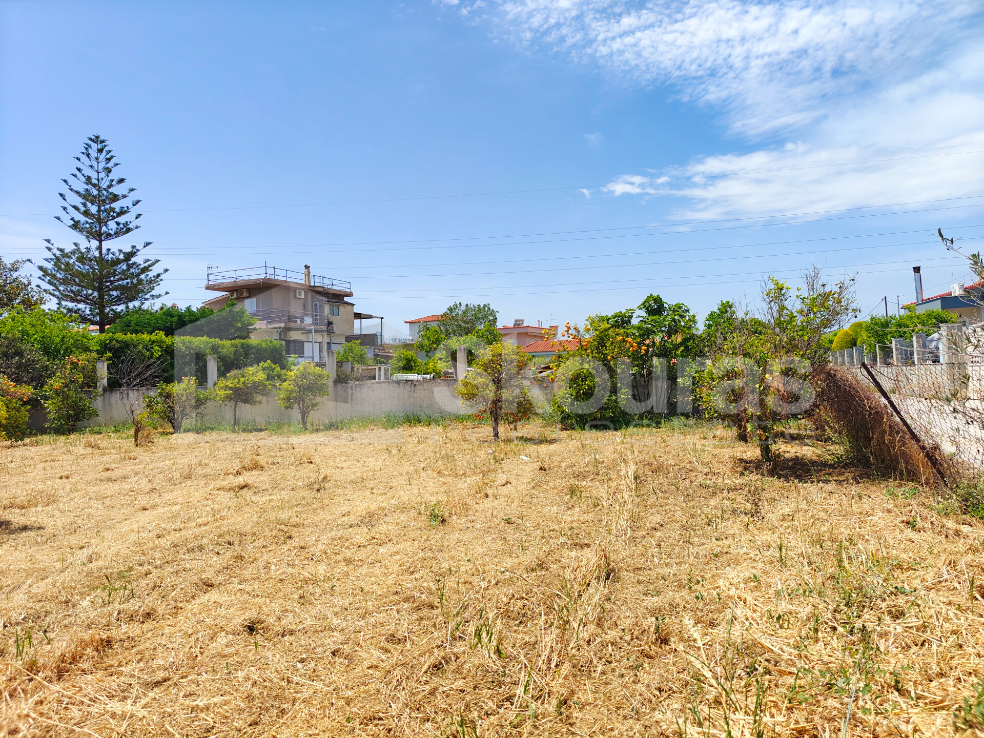 Gallery image 21