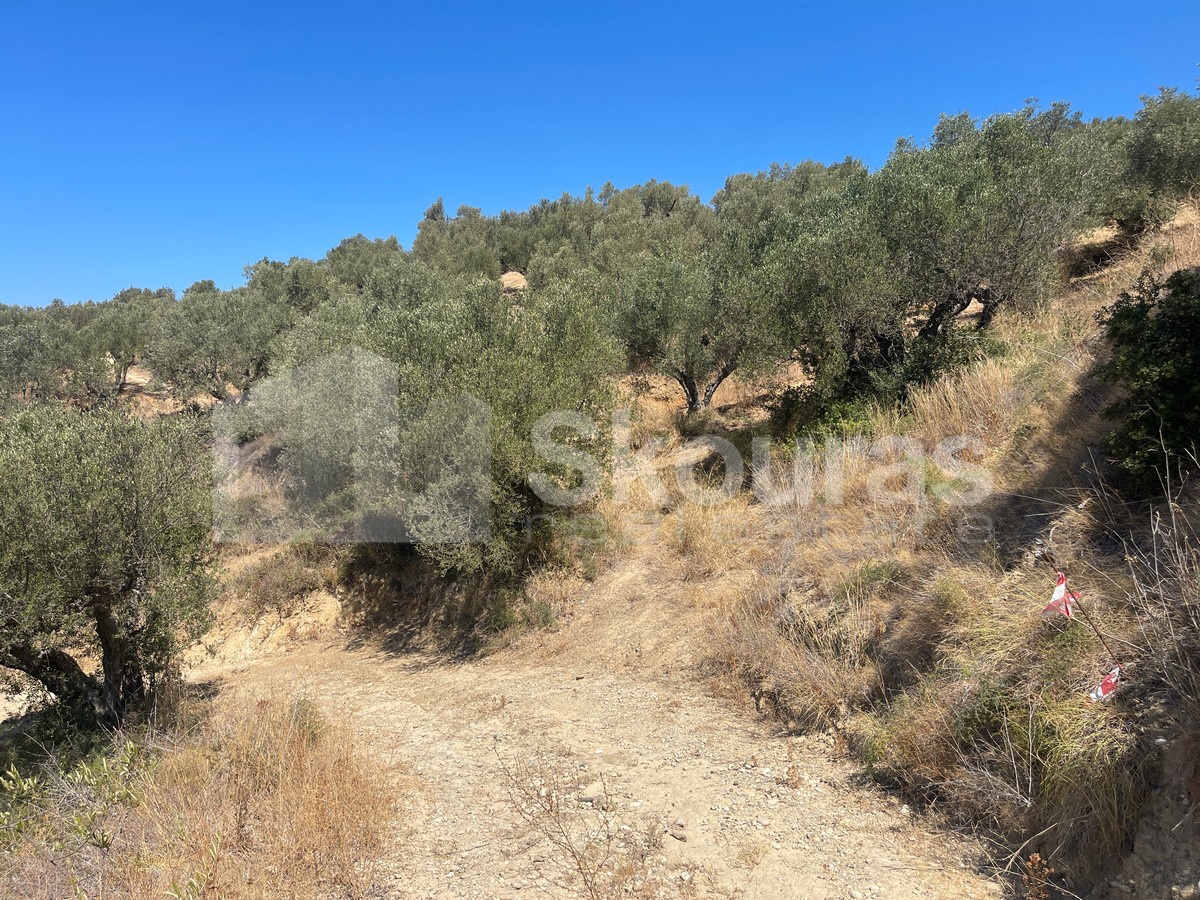 Gallery image 23