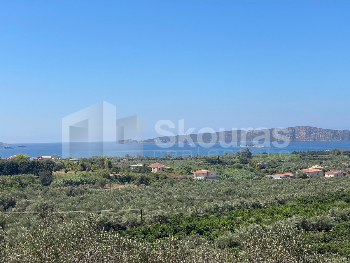 Gallery image 10