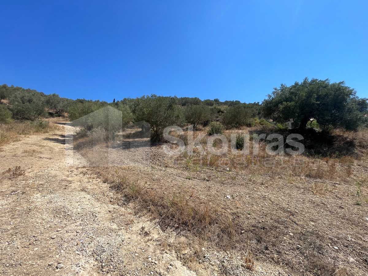 Gallery image 8