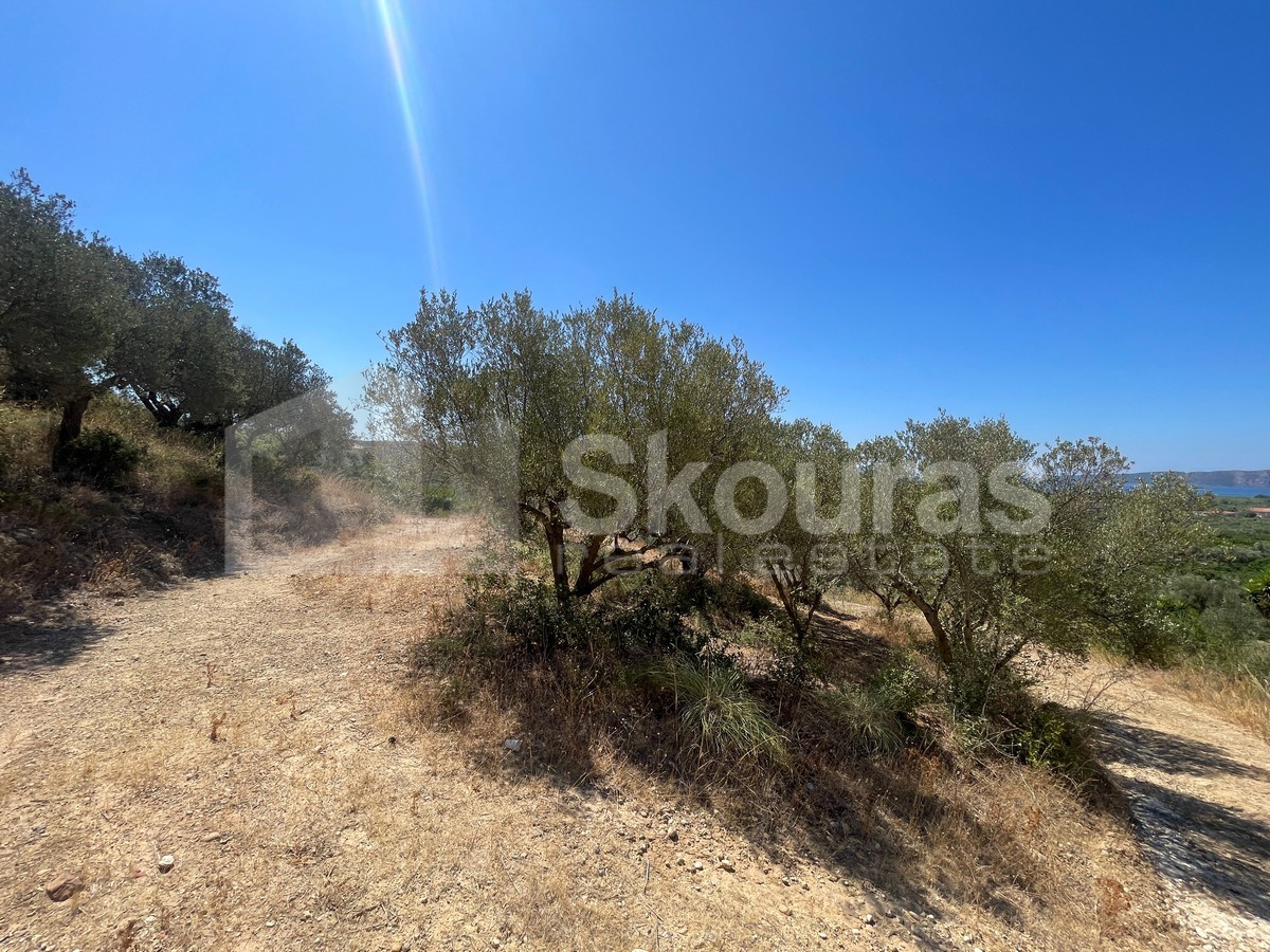 Gallery image 16