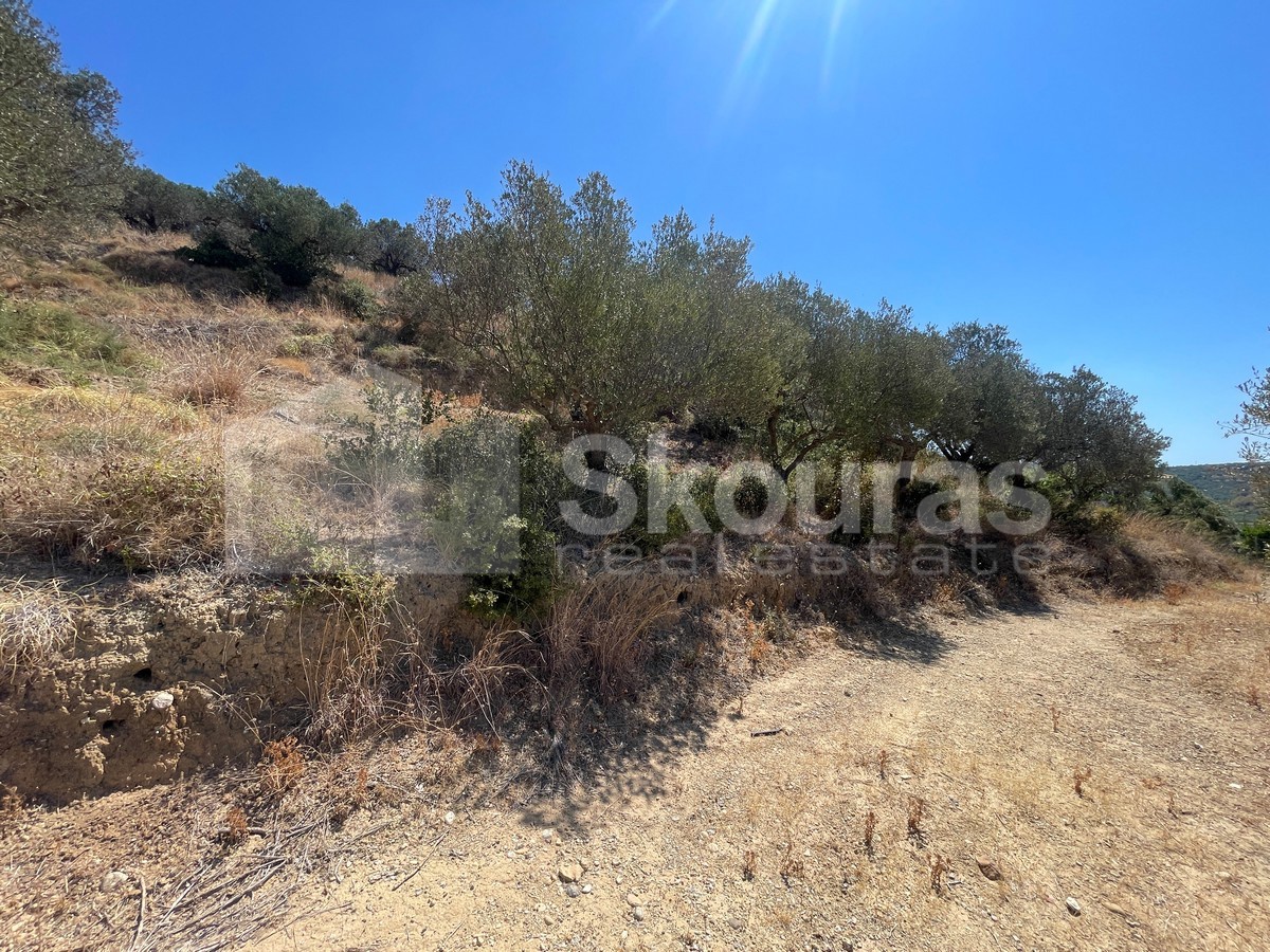 Gallery image 14