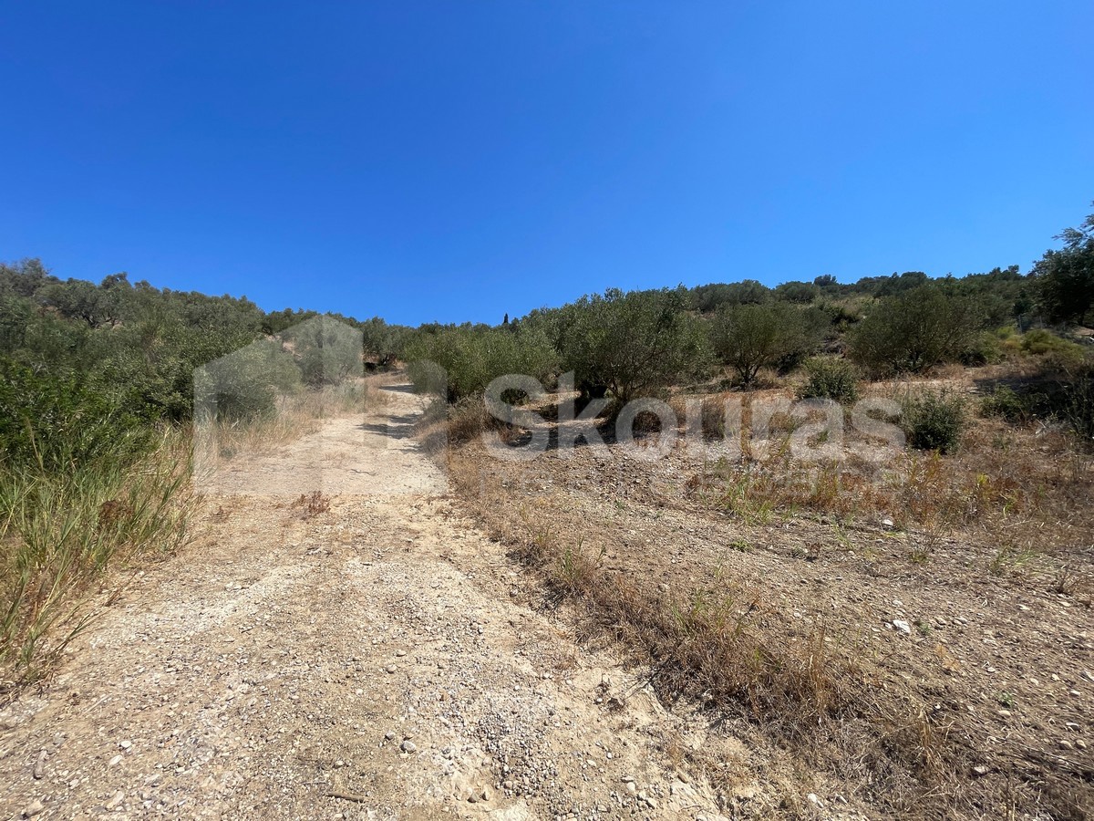 Gallery image 14