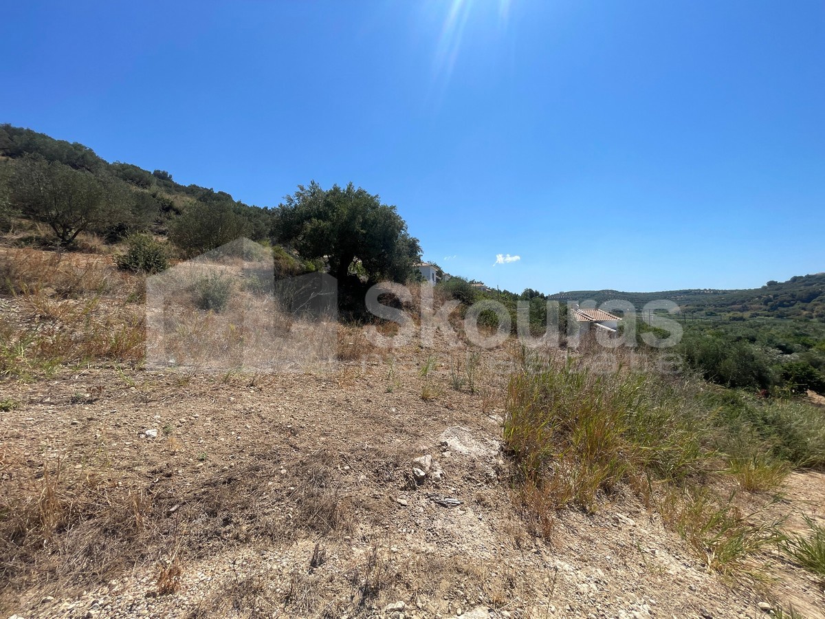 Gallery image 9