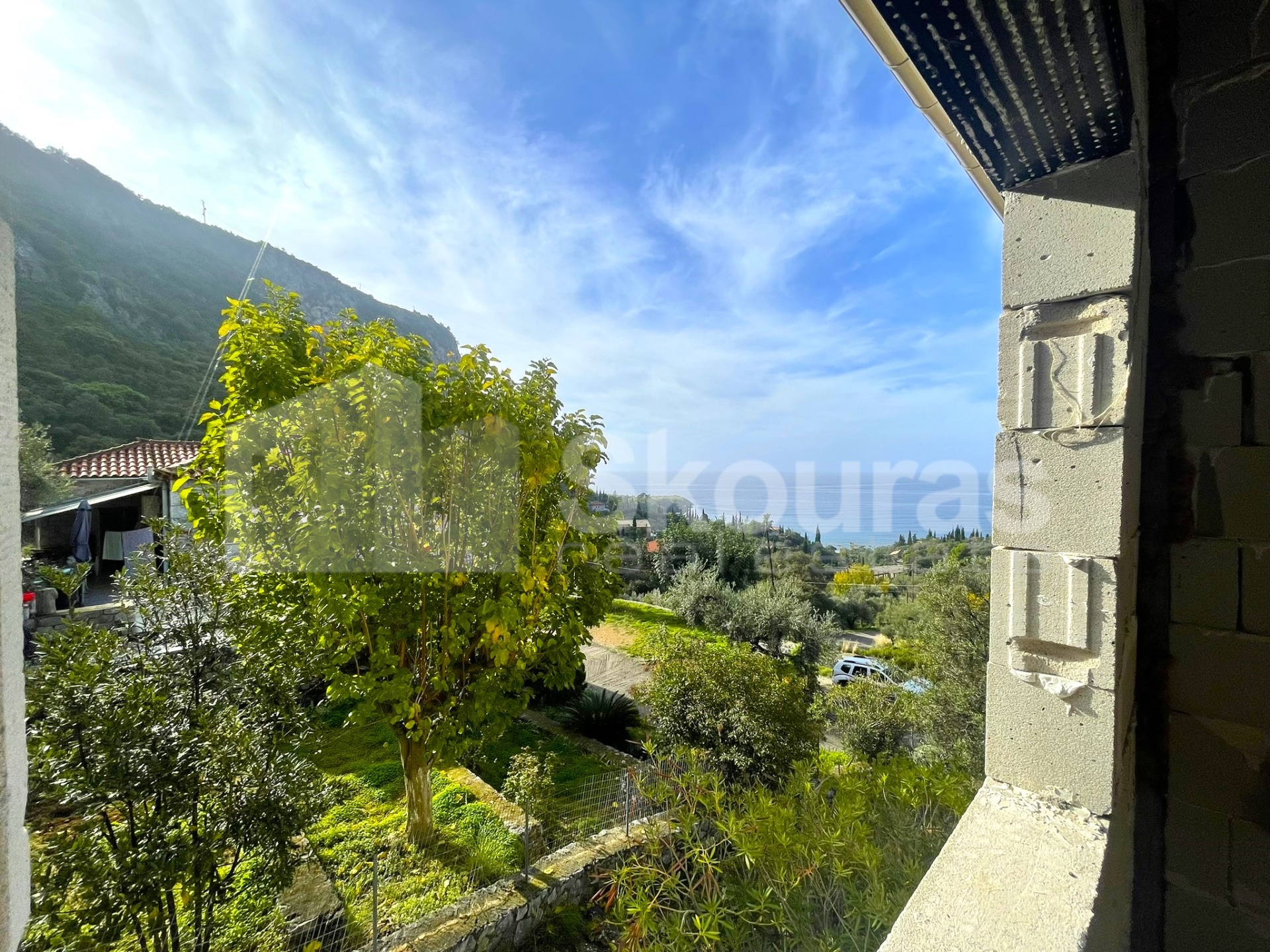 Gallery image 12