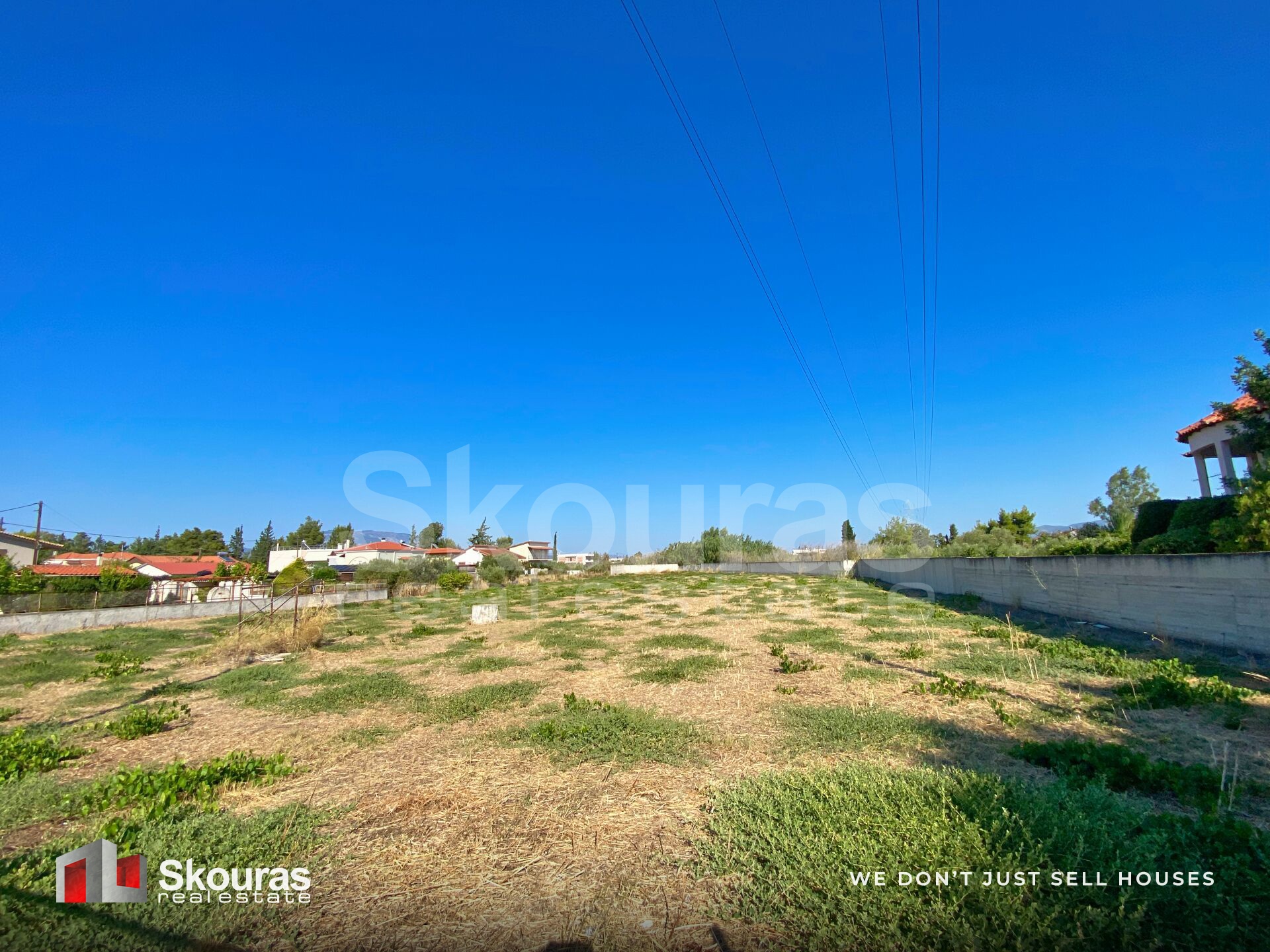 Gallery image 25