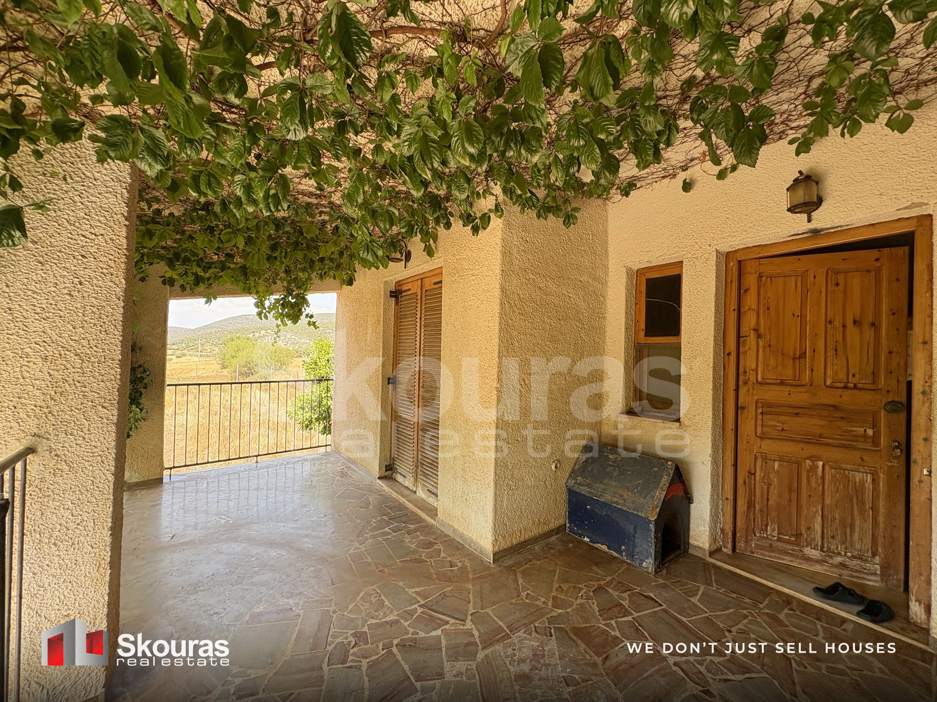 Gallery image 16