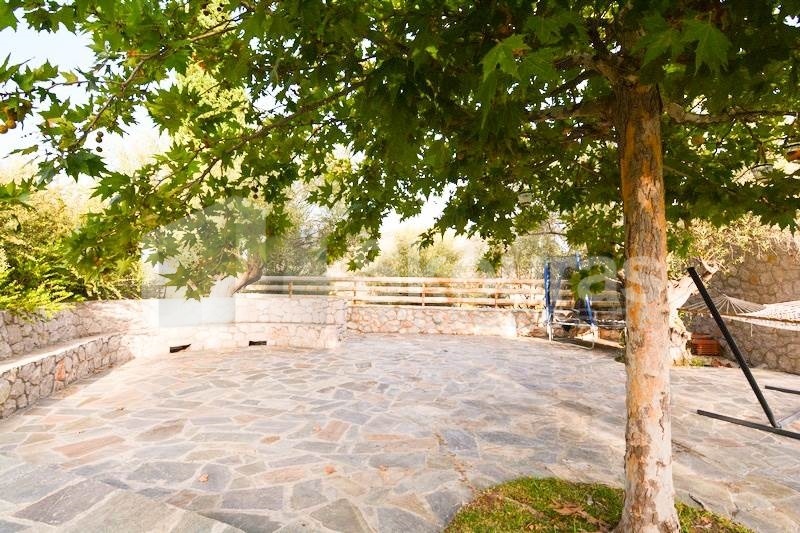 Gallery image 12