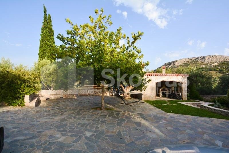 Gallery image 11