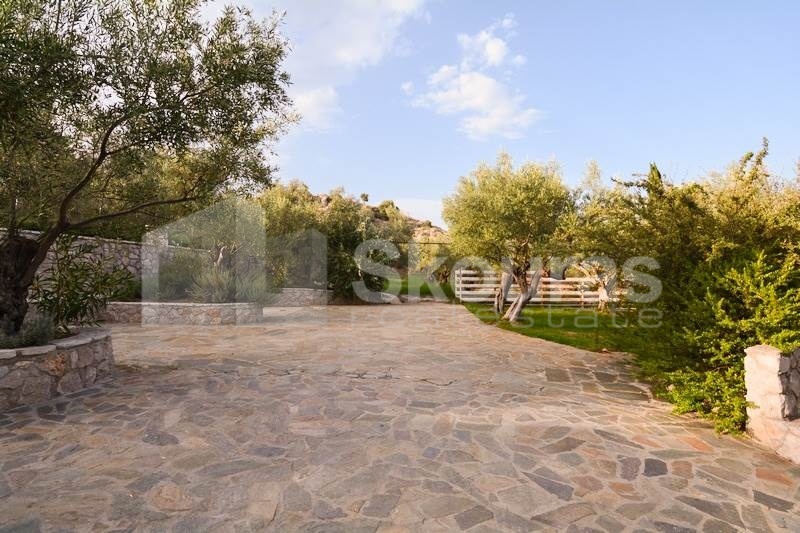 Gallery image 26