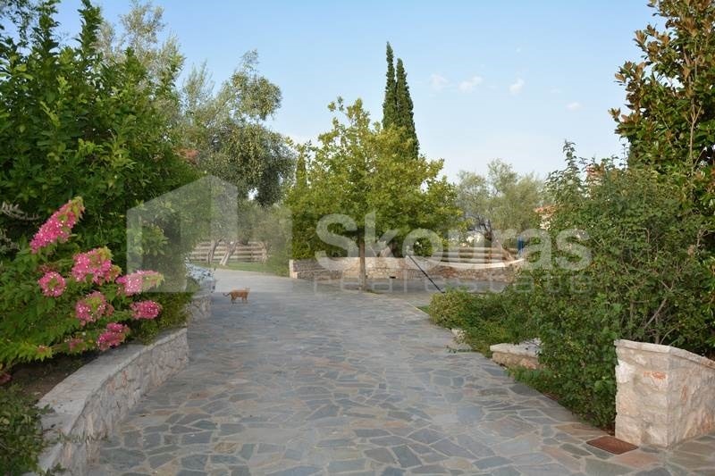 Gallery image 13