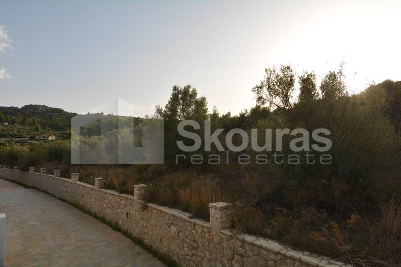 Gallery image 24