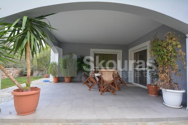 Gallery image 8