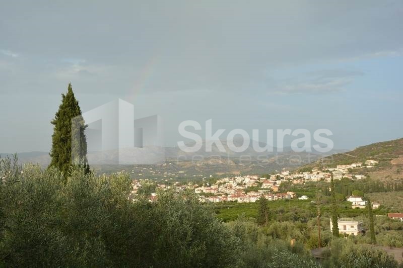 Gallery image 17