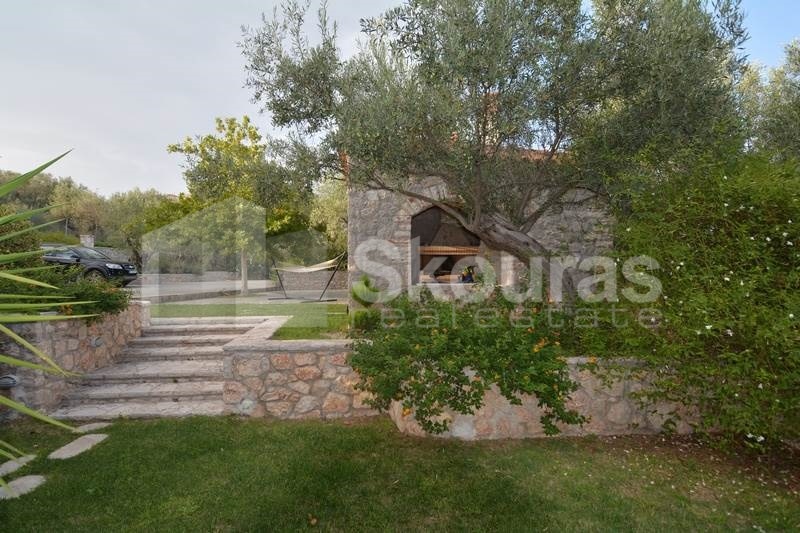Gallery image 18