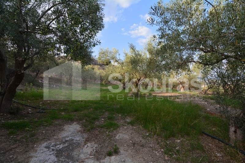 Gallery image 23
