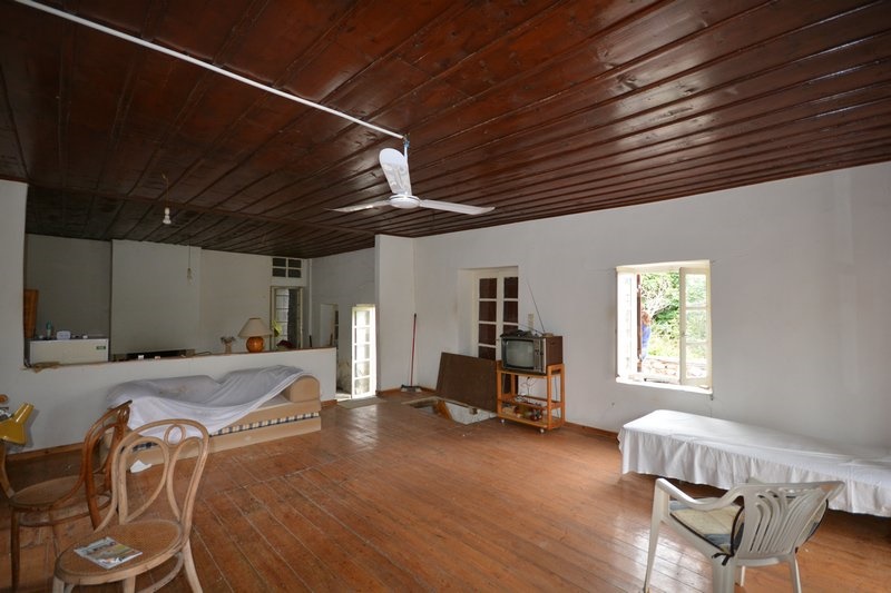 Gallery image 14