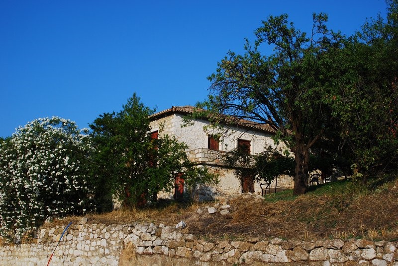 Gallery image 8