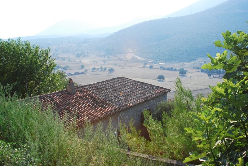 Gallery image 10