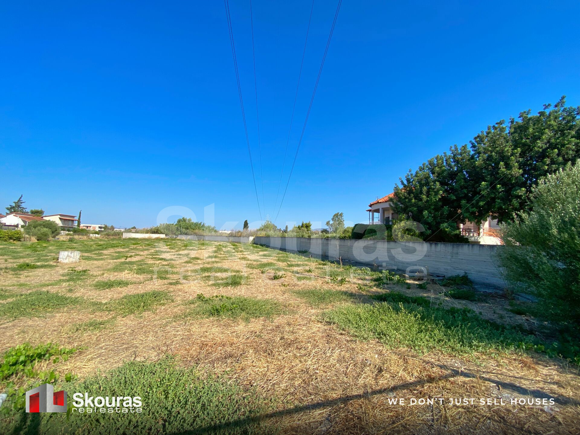Gallery image 19