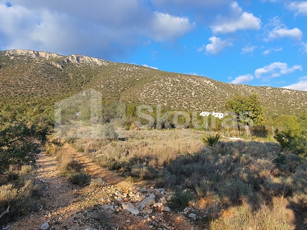 Gallery image 12