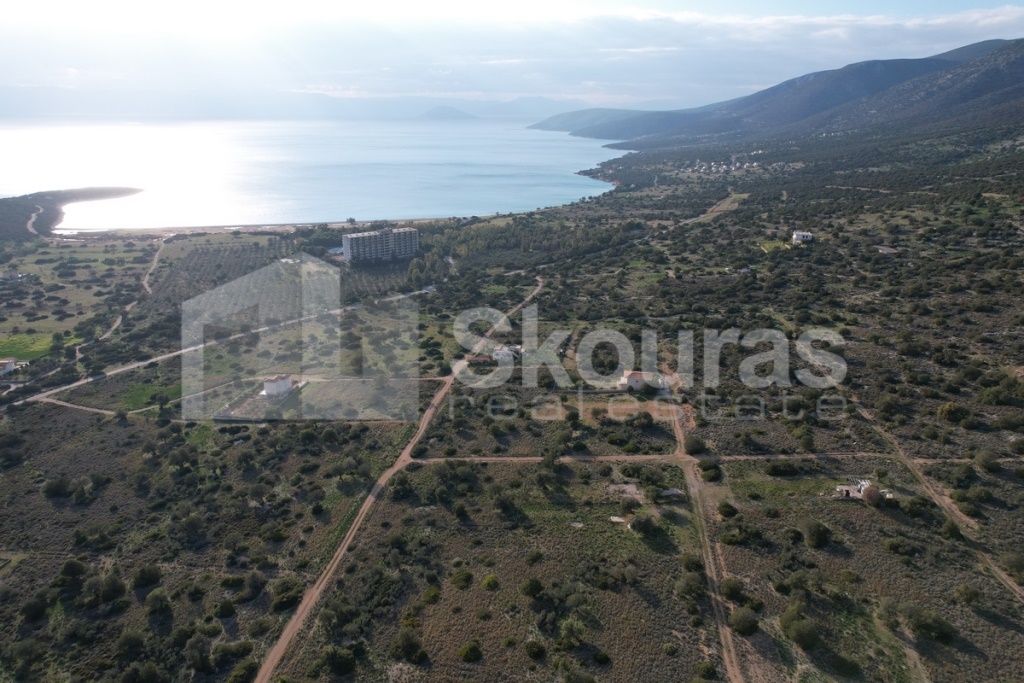 Gallery image 17