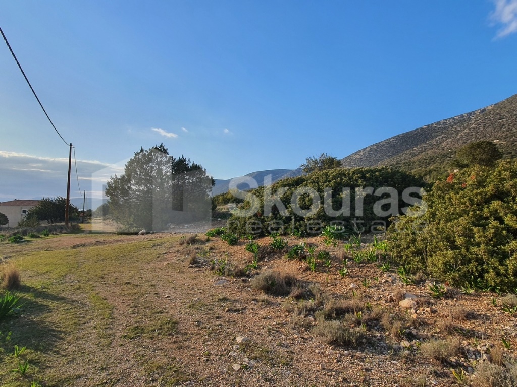 Gallery image 11