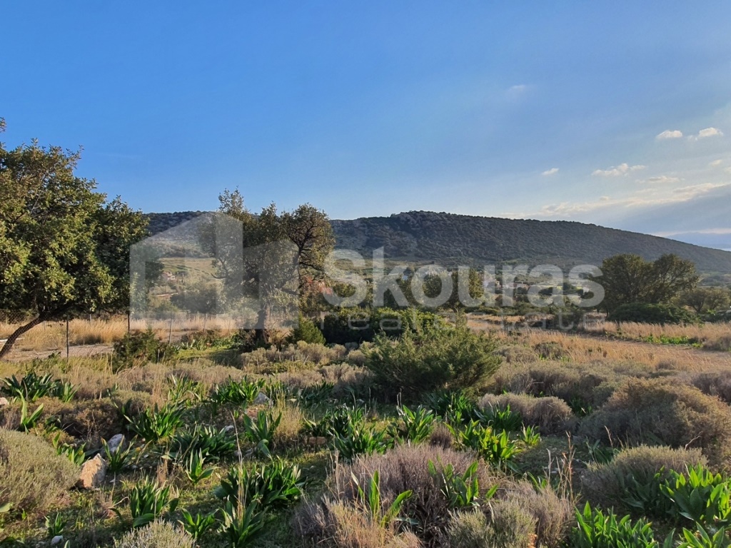 Gallery image 13