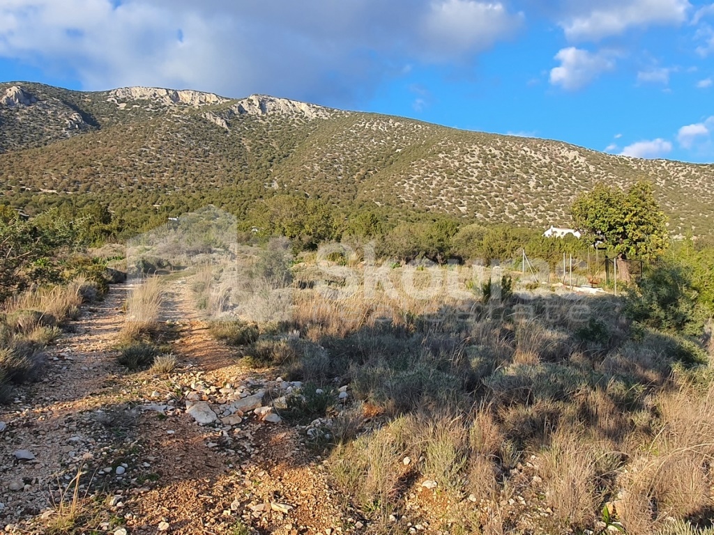 Gallery image 10