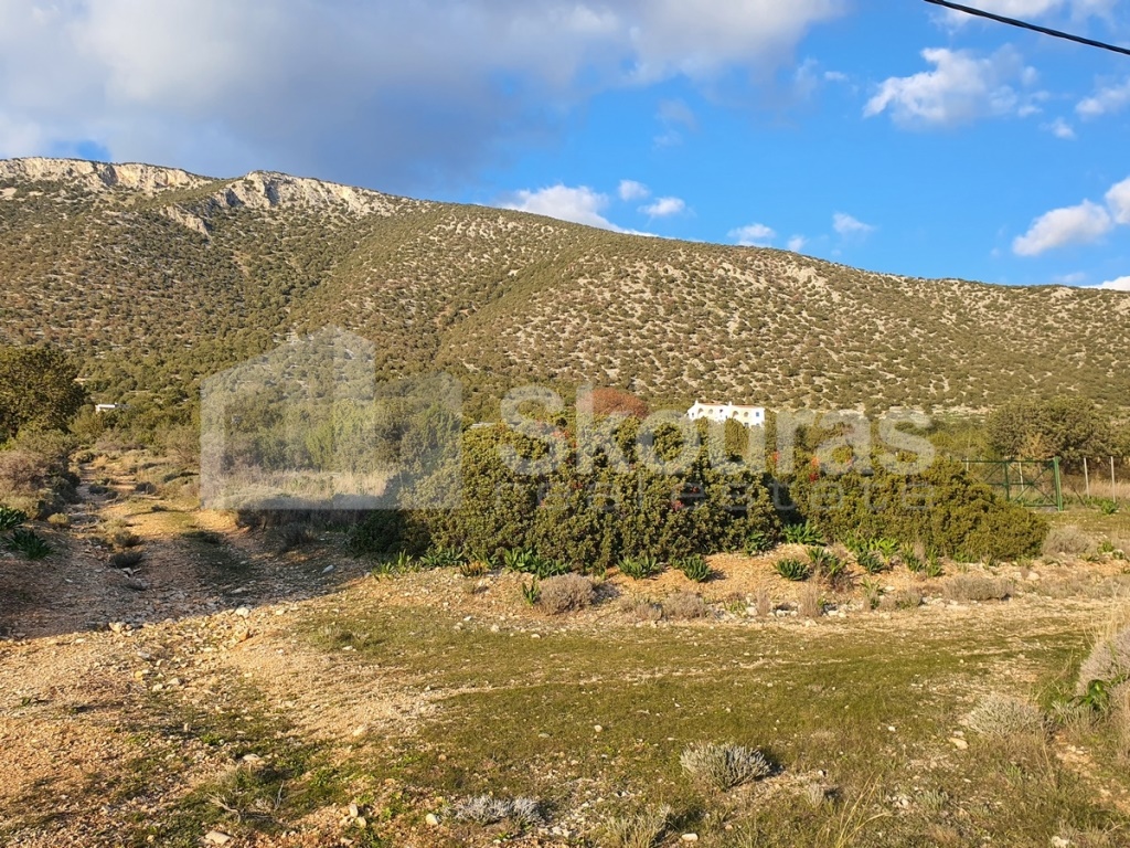 Gallery image 15