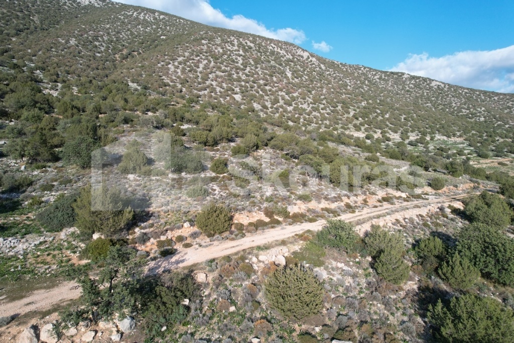Gallery image 10