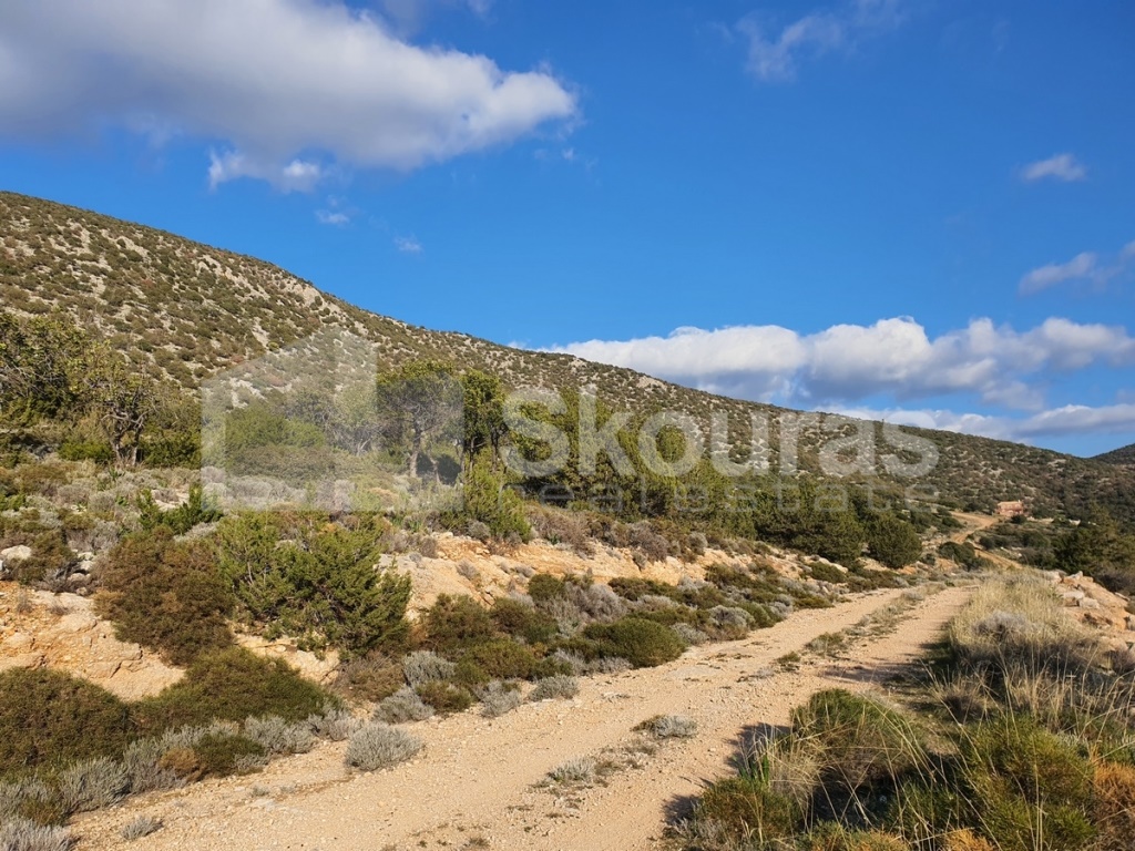 Gallery image 17