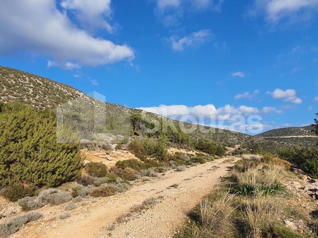 Gallery image 15